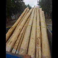 خریدچوب|خدمات باغبانی و درختکاری|آباده, |دیوار