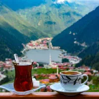 تور هوایی ترابزون تابستان 1405 پا به پا سفر