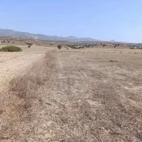 زمین-مسکونی-داوران