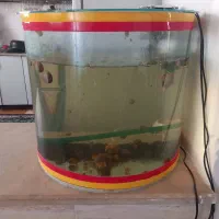 آکواریوم