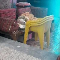 وسایل رستوران و کبابی