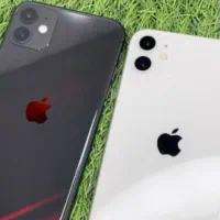 iPhone 11 normal
