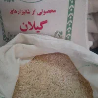 همه نوع برنج ایرانی پاکستانی