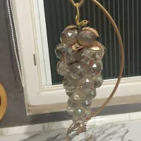 انگور دکوری