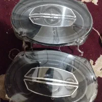 باند پاینر سالم