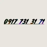 09177313171