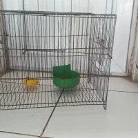 قفس سالم ۳۰۰ مقطوع