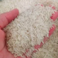 برنج چمپا خوش پخت زیر قیمت
