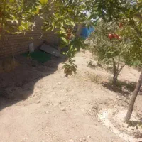 ۱۱۰۶-فروش باغچه۵۰۰متری بلوار دانشگاه فقط ۳.۹۰۰ نقد