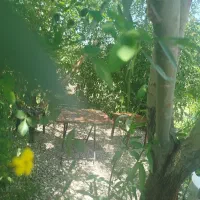 اجاره سوئیت