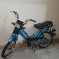 باسل ۵۰ cc صفر خشک سه برگ سند کمپانی
