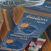 لنت فرانتکت ومدرن تندیس