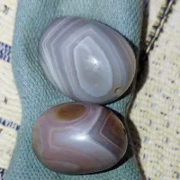 مهره برد