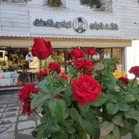دودهنه مغازه تختی.  بلوار صارمی 70متر دکور لوکس