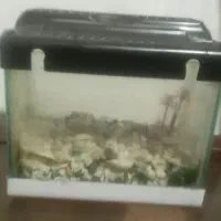 اکواریوم