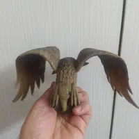 مجسمه عقاب
