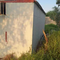 کانکس|فروشگاه و مغازه|بندرعباس, |دیوار