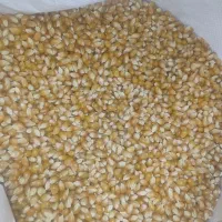 سوپر مارکت سهیل