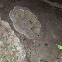 حوض آب