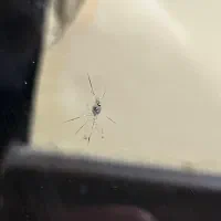 شیشه جلو تارا