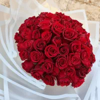 دسته گل رز هلندی/ بهترین قیمت و کیفیت ممکن