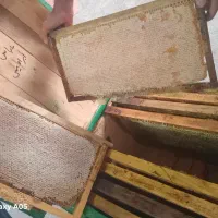 خوراکی
