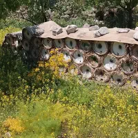 فروش کندوی صبد