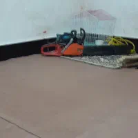 خریدچوب درخت وحرس کاری