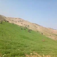 زمین فروشی