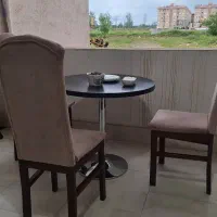 ۶ عدد صندلی با روکش مخمل