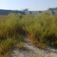 کارگر ساده نیازمندم