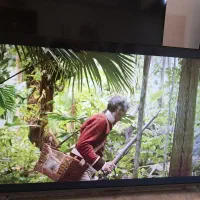 تلوزیون ایکس وی ژن