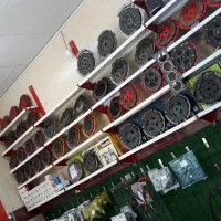 پیشتاز یدک