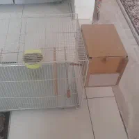 قفس سایز 60×40 با جنس مفتول ضخیم