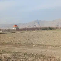 زمین باغی