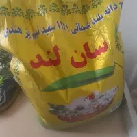 برنج