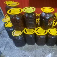 سیر ترش هفت ساله