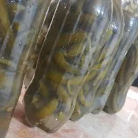 خیار شور سوپر ویژه