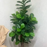 درختچه گل خیلی طبیعیه