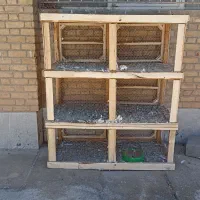 قفس بزرگ پرنده