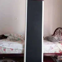 دزد گیر لباس