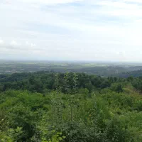 238-متر-زمین-باغی-مرکز-شهر-کوچصفهان