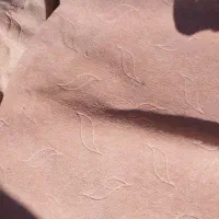موکت