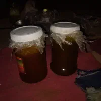 عسل صدرصد طبیعی کوهی به شرط