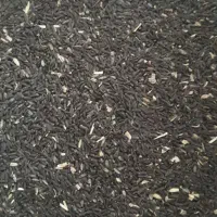 تخم شربتی