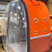 باکس حمل طوطی وعروس هلندی