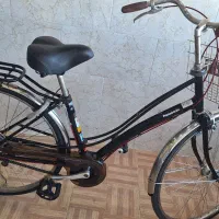 دوچرخه  پاناسونیک