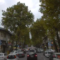 فروش واحدشکاری همراه مغازه۳۶متری /تختی