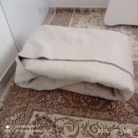 پالاز موکت درحد نو