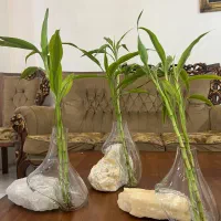 دفرمه رو میزی بامبو